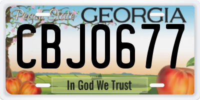 GA license plate CBJ0677
