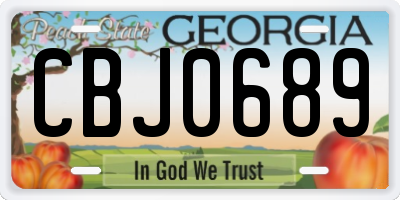 GA license plate CBJ0689