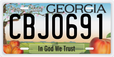 GA license plate CBJ0691