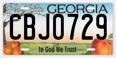 GA license plate CBJ0729