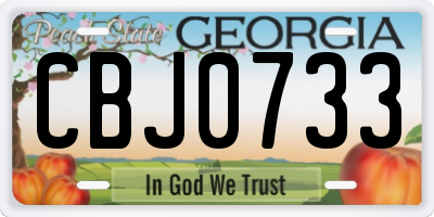 GA license plate CBJ0733