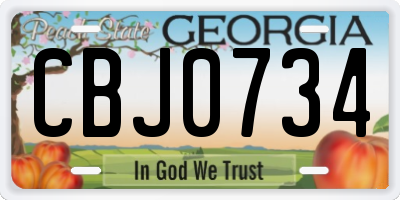 GA license plate CBJ0734