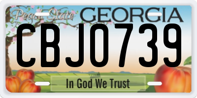 GA license plate CBJ0739
