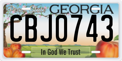 GA license plate CBJ0743