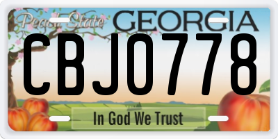 GA license plate CBJ0778