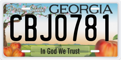GA license plate CBJ0781