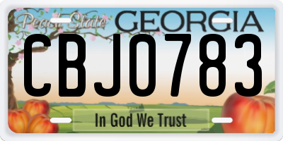 GA license plate CBJ0783