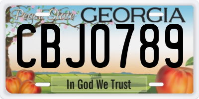 GA license plate CBJ0789