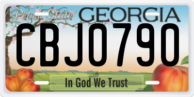 GA license plate CBJ0790