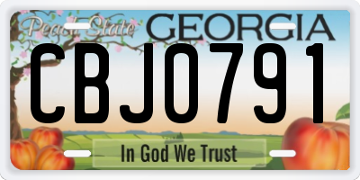 GA license plate CBJ0791