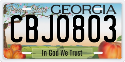 GA license plate CBJ0803