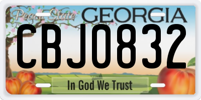 GA license plate CBJ0832