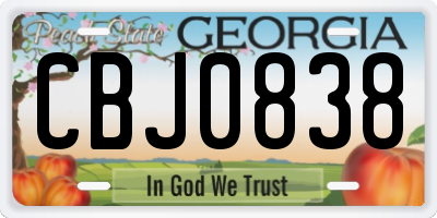 GA license plate CBJ0838