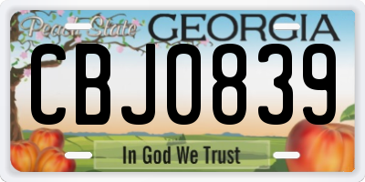 GA license plate CBJ0839