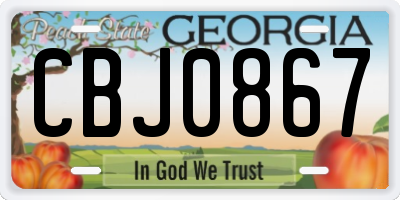 GA license plate CBJ0867