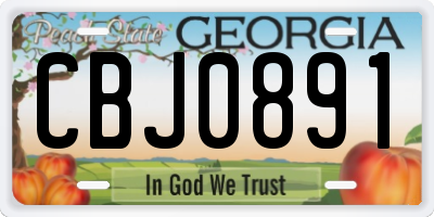 GA license plate CBJ0891