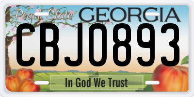 GA license plate CBJ0893