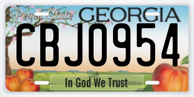 GA license plate CBJ0954