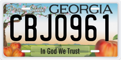 GA license plate CBJ0961