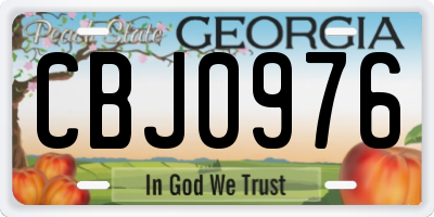 GA license plate CBJ0976
