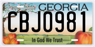 GA license plate CBJ0981