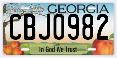 GA license plate CBJ0982