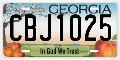 GA license plate CBJ1025