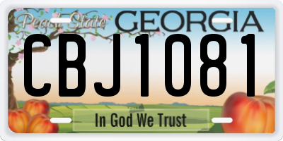 GA license plate CBJ1081