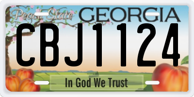 GA license plate CBJ1124