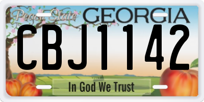 GA license plate CBJ1142