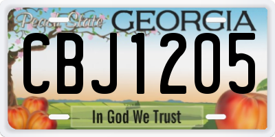 GA license plate CBJ1205