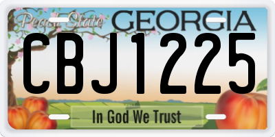 GA license plate CBJ1225