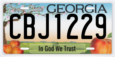 GA license plate CBJ1229