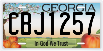 GA license plate CBJ1257