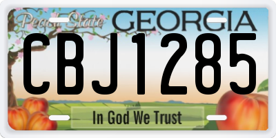 GA license plate CBJ1285