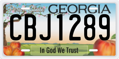 GA license plate CBJ1289