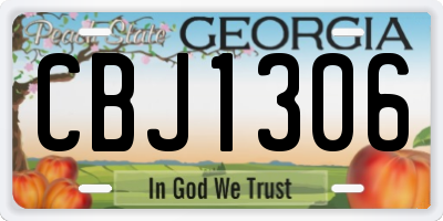GA license plate CBJ1306