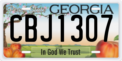 GA license plate CBJ1307