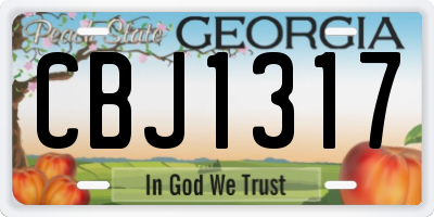 GA license plate CBJ1317