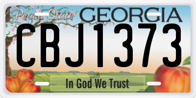 GA license plate CBJ1373