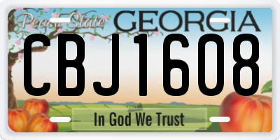 GA license plate CBJ1608