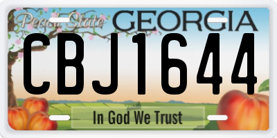 GA license plate CBJ1644
