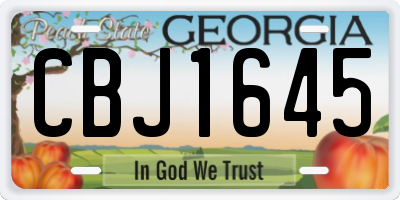 GA license plate CBJ1645