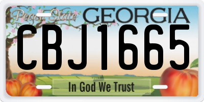 GA license plate CBJ1665
