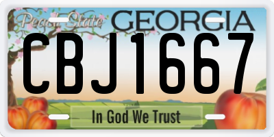 GA license plate CBJ1667