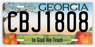 GA license plate CBJ1808