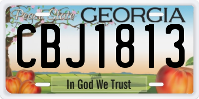 GA license plate CBJ1813