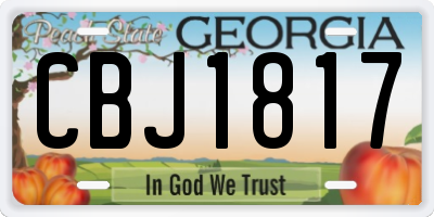 GA license plate CBJ1817