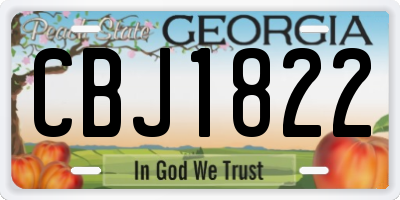 GA license plate CBJ1822