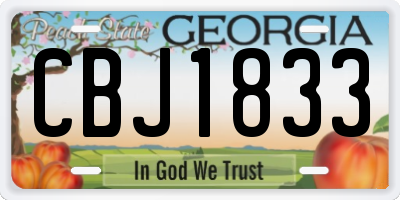 GA license plate CBJ1833